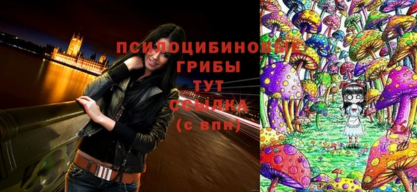 ешки Арсеньев