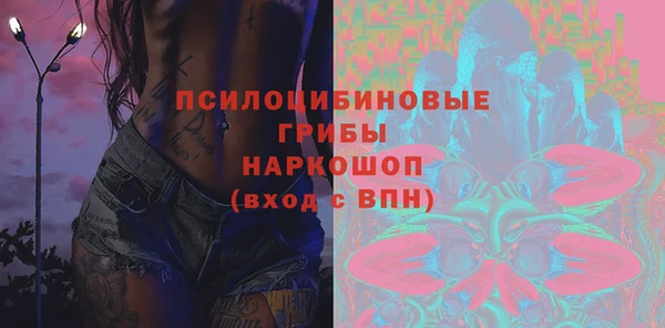 ешки Арсеньев