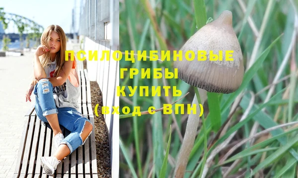 метамфетамин Армянск