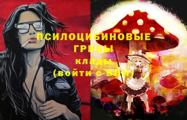 ешки Арсеньев